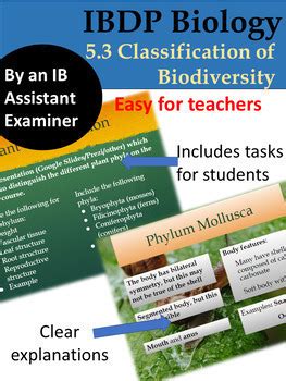 IB Biology Topic 5 3 Classification Of Biodiversity 30 Google Slides