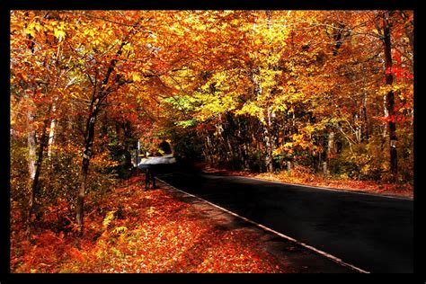 Connecticut Fall III by lucky008 on DeviantArt