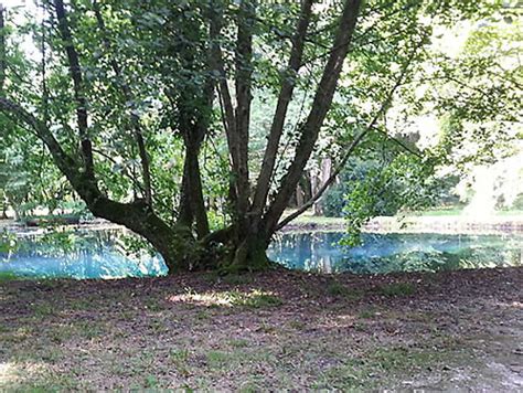 Fontaine Bleu Ch Teau De Beaulon Saint Dizant Du Gua Charente