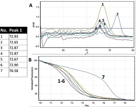 HRM Curves Corresponding To FLT3 ITD Mutation A Row Melting Curve