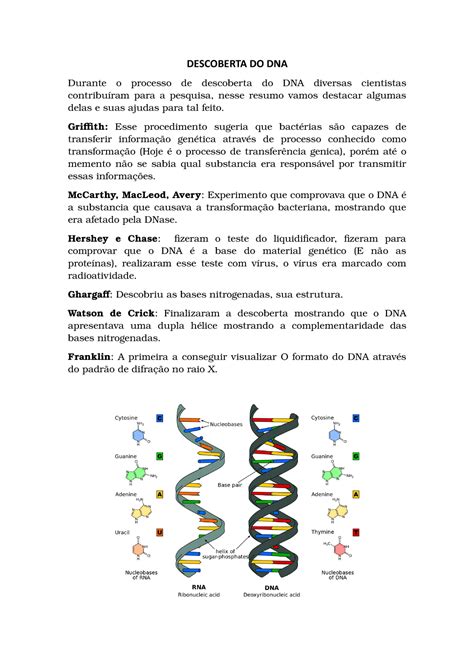 Descoberta Da Estrutura Do DNA Artigo