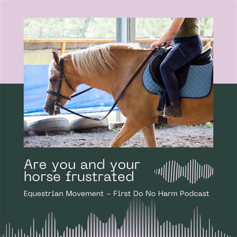 Equestrian Movement Are You And Your Horse Frustrated