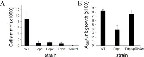 Sequence Alignments Of Fas Domains A Alignments Based On Structural