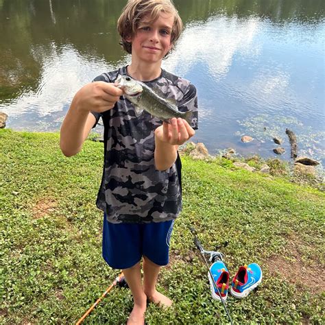 Fishing Reports Best Baits And Forecast For Fishing In Oak Grove Lake