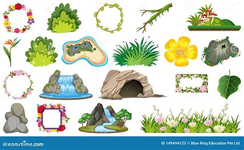 Placez Des Plantes Ornementales Illustration De Vecteur Illustration