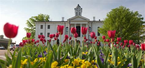 time  visit oxford mississippi  local palate