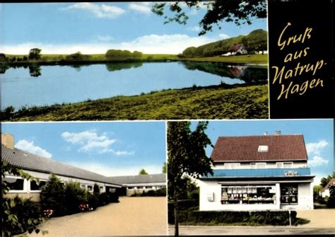 Postcard Natrup Hagen Am Teutoburger Wald Gesch Ft Akpool Co Uk