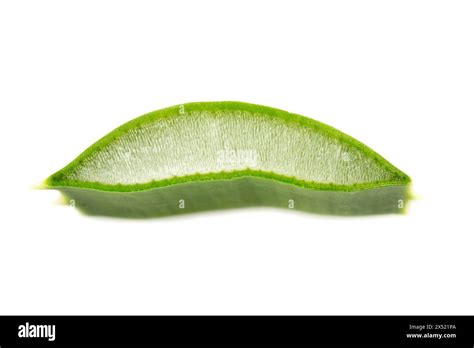 Aloe Vera Slice On White Background Stock Photo Alamy