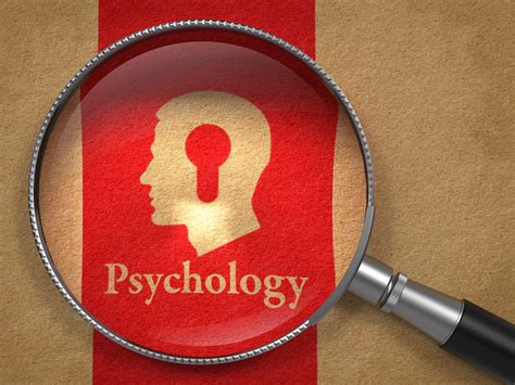 5 Popular Psychology Sub-Disciplines - Online Psychology Degree Guide
