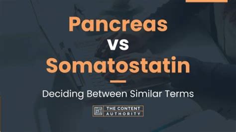 Pancreas vs Somatostatin: Deciding Between Similar Terms