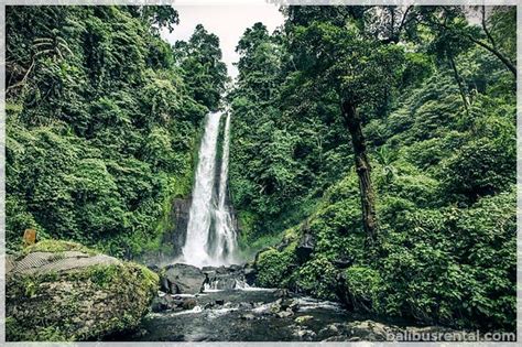 Gitgit Waterfall - Bali Bus Rental