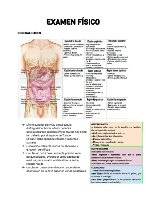 Examen F Sico Abdomen Resumen Del Capitulo Completo Semiolog A