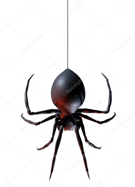 Spider on thread Stock Photo by ©maninblack 10255464