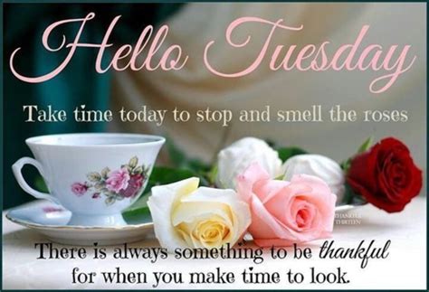 10 New Hello Tuesday Quotes And Sayings