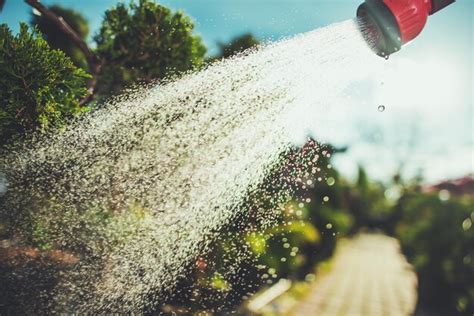 Premium Photo | Watering garden plants in summer