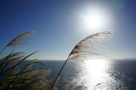 Free Images Sea Coast Water Nature Ocean Horizon Light Cloud