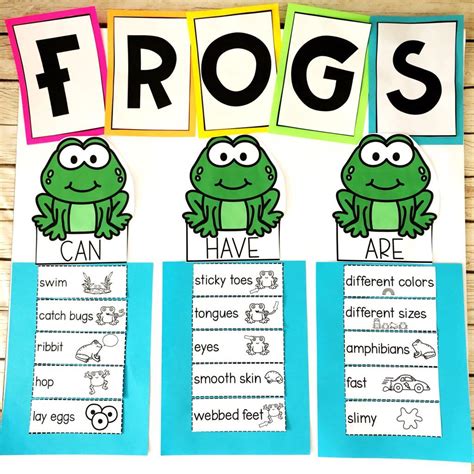 Frog Life Cycle Anchor Chart Printable Templates Free