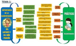 Mapa Mental Lactancia Materna Y Practicas Trabajo De Educacion Ppt