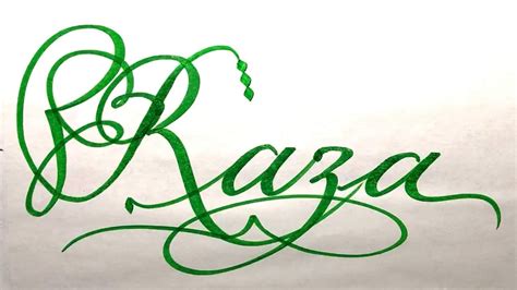 Raza Name Signature Calligraphy Status How To Draw Cursive