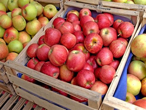 Äpfel Fünf Fakten über Das Beliebte Obst Geolino