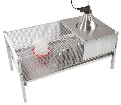 Cage Poussin La Meilleure Solution Pour Lever Des Poussins