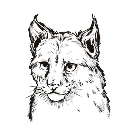 Premium Vector Eurasian Lynx Baby Portrait Of Exotic Animal Isolated