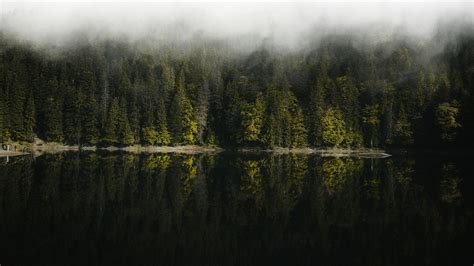 Reflection Of The Forest In The Lake Wallpaper X K Ultra Hd