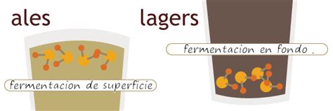 Cual Es La Diferencia Entre Ales Y Lagers White Bay Brewing Company