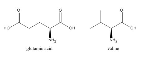 What is the difference between glutamic acid and valine? | Quizlet