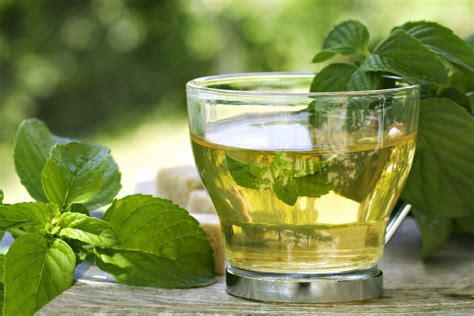 Infusiones De Menta Frescas Y Saludables Remedio Natural