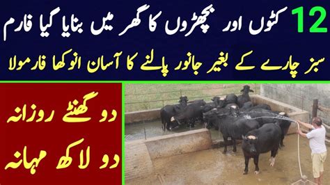 Business Ideas In Pakistan Bachra Farming In Pakistan Katta Farming