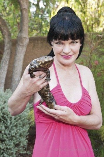 Pauley Perrette rélation fortune Pauley perrette Pauley perette Bikini 2015