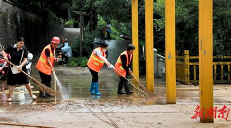 新田：洪水渐退忙清淤消毒 力争早日恢复正常秩序 永州 新湖南