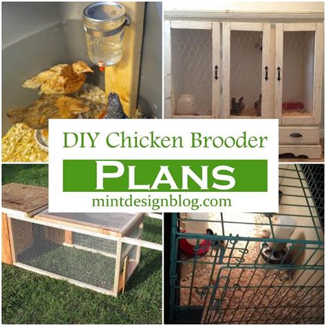 16 Diy Chicken Brooder Plans Mint Design Blog