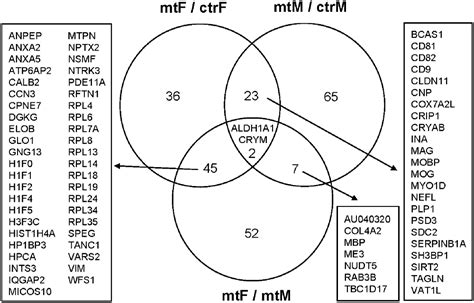 Frontiers Sex Specific Social Behavior And Amygdala Proteomic