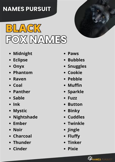 Black Fox Names [400+ Unique Ideas]