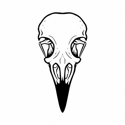 Skull Raven Crow Bird Rook Skeleton Head Icon Download On