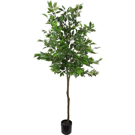 Artificial Potted Ficus Tree 160cm Fast Delivery