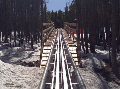 The Mountain Coaster In Colorado That Will Take You On A Ride Of A Lifetime