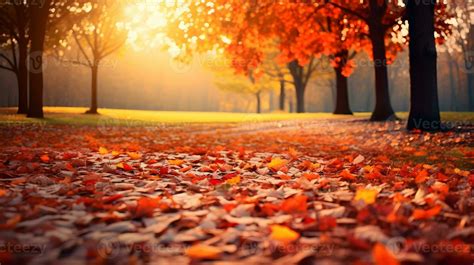 Fall Scenery Stock Photos, Images and Backgrounds for Free Download