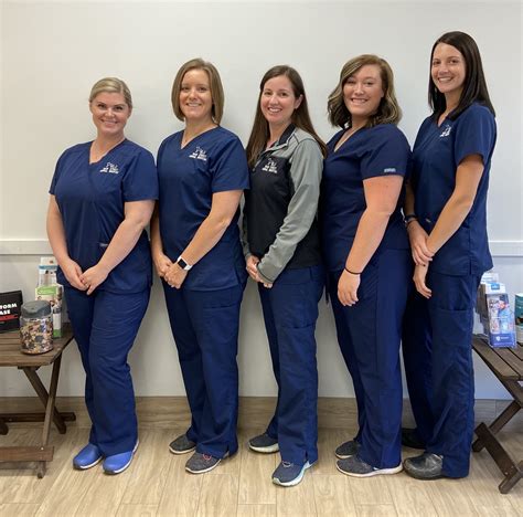 main street animal clinic 9