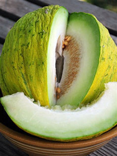 50 Casaba Golden Beauty Melons Seeds Etsy