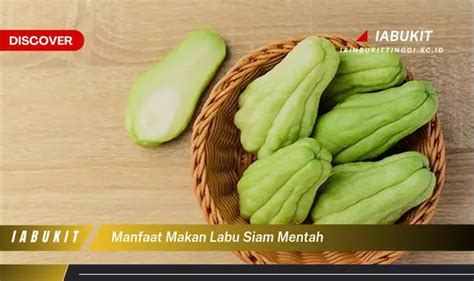 Ketahui 7 Manfaat Makan Labu Siam Mentah Yang Bikin Kamu Penasaran