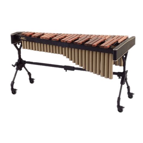 Xylophone Marimba Musical Instruments Soloist Percussion Xylophone Png Download 575575