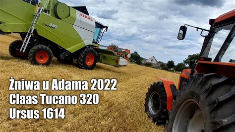 Żniwa u Adama 2022 w polu Claas Tucano 320 i Ursus 1614 daje w gary