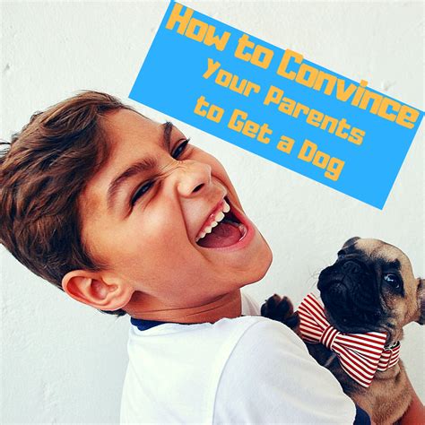 The Paws-Itive Persuader: 5 Clever Ways To Convince Your Dad To Bring Home A Furry Friend