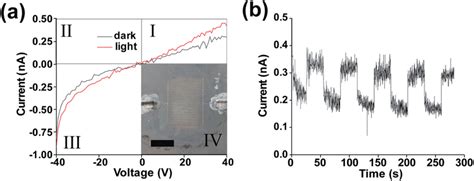 A Iv Curves Of Printed Contacts Sns Device Under Darkness And Am