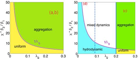 Color Online Phase Space Of Various Regimes For Auto Chemotactic