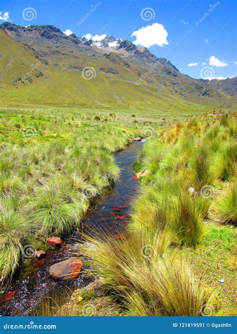 Amazon River Country Side Of Peru Stock Image Image Of Hike