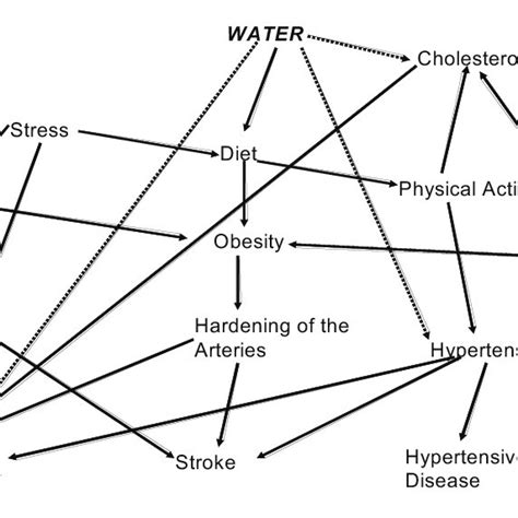 1 Web Of Causation Applied To Cardiovascular Disease Adapted From